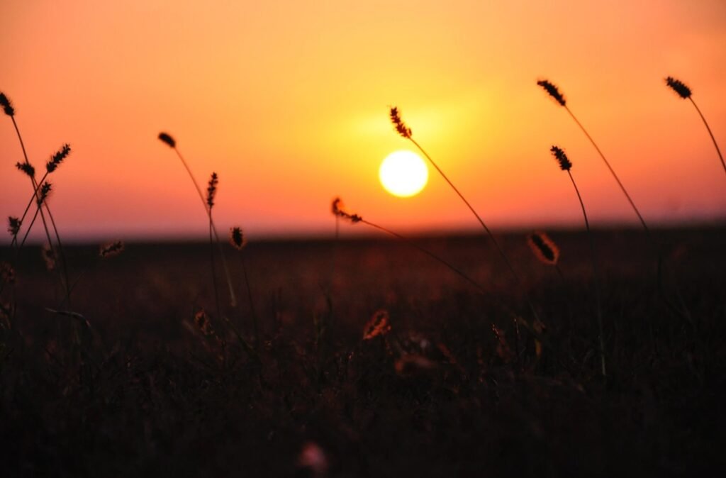 Sore hari di musim panas